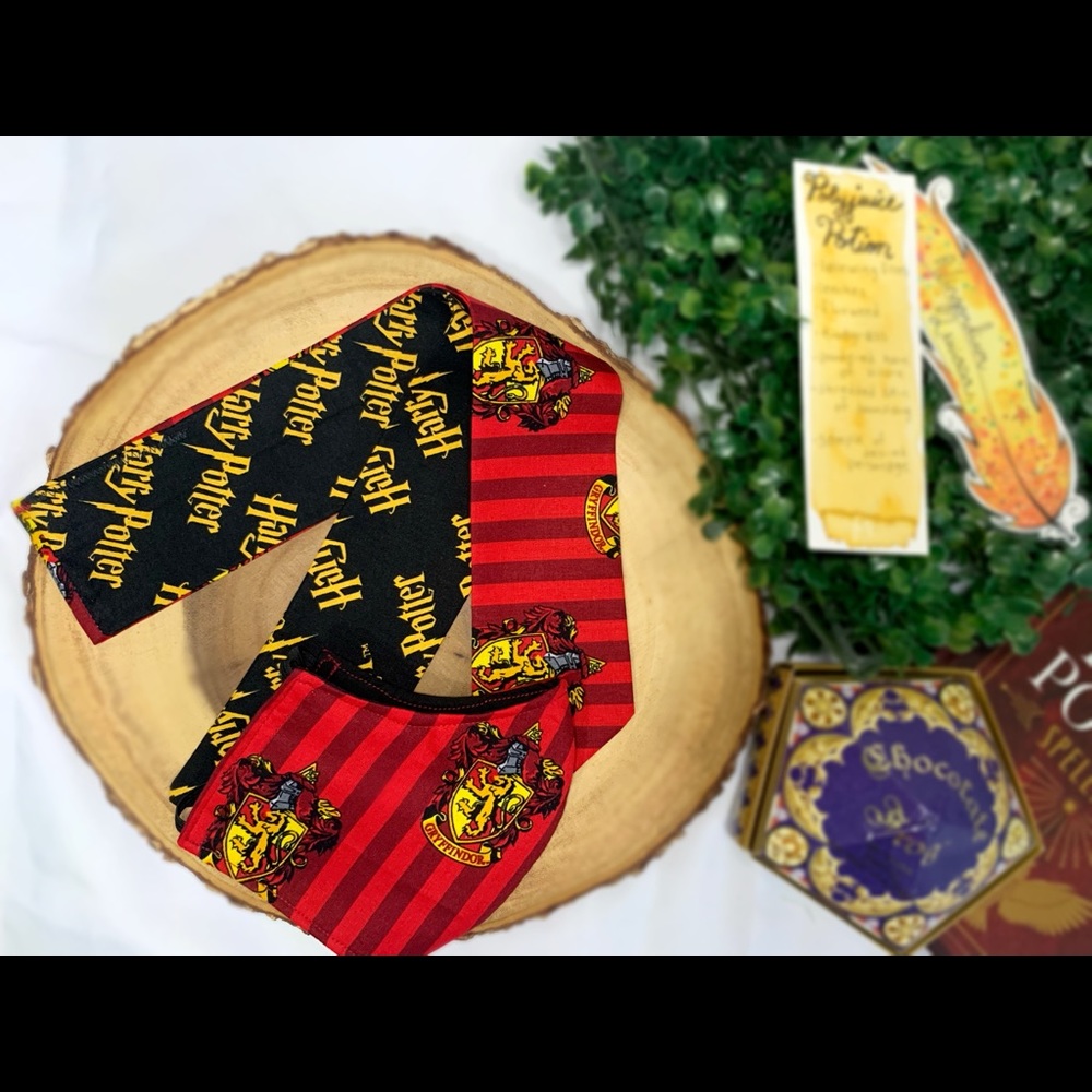 Harry Potter Gryffindor matching bundle